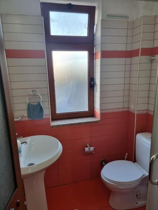 Aunt's Place Apartament Szkodra