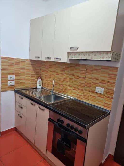 Apartament Aunt's Place Szkodra